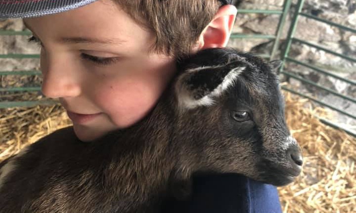 Petting Farm at Green Meadows Petting Farm (Maryland)