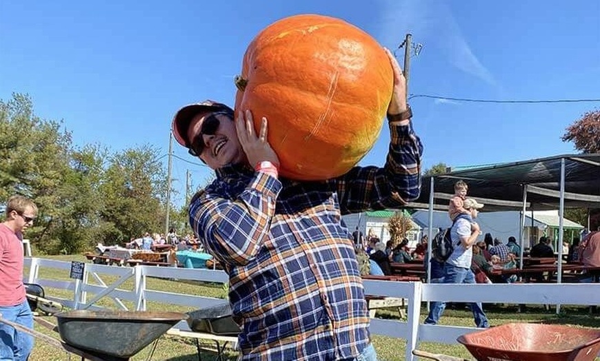 Image 5: 42% Off Corn Maze and Pumpkin Patch at Chesterfield Berry Farm