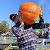 Image 5: 42% Off Corn Maze and Pumpkin Patch at Chesterfield Berry Farm