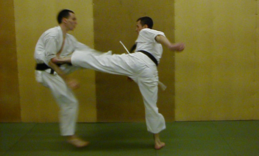 Image 1: Six Karate Classes