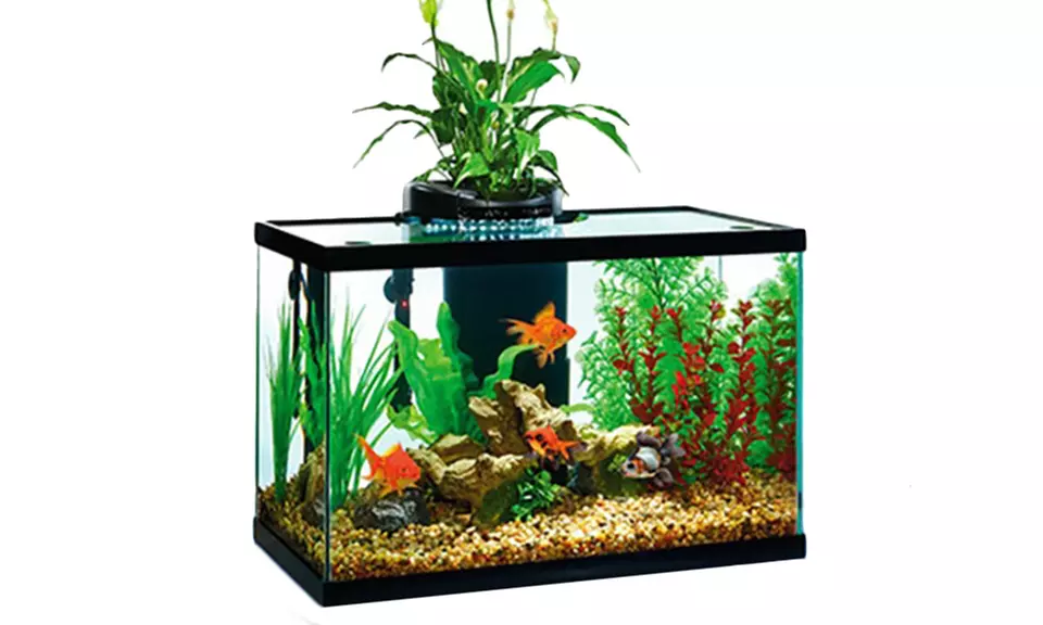 Elive AquaDuo 10-Gallon LED Aquarium Kit - Primary Image