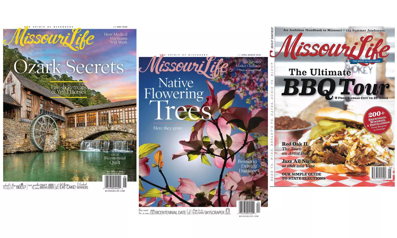 One- or Two-Year Subscription to Missouri Life Magazine (Up to 50% Off) - Primary Image