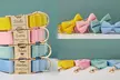 Flex your pet’s personality with comfortable and cool collars designed just for them! (Up to 71% off) - Second Medium