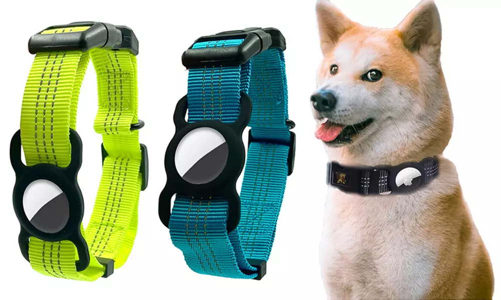 1 o 2 collares reflectantes con soporte para localizador - Primary Image