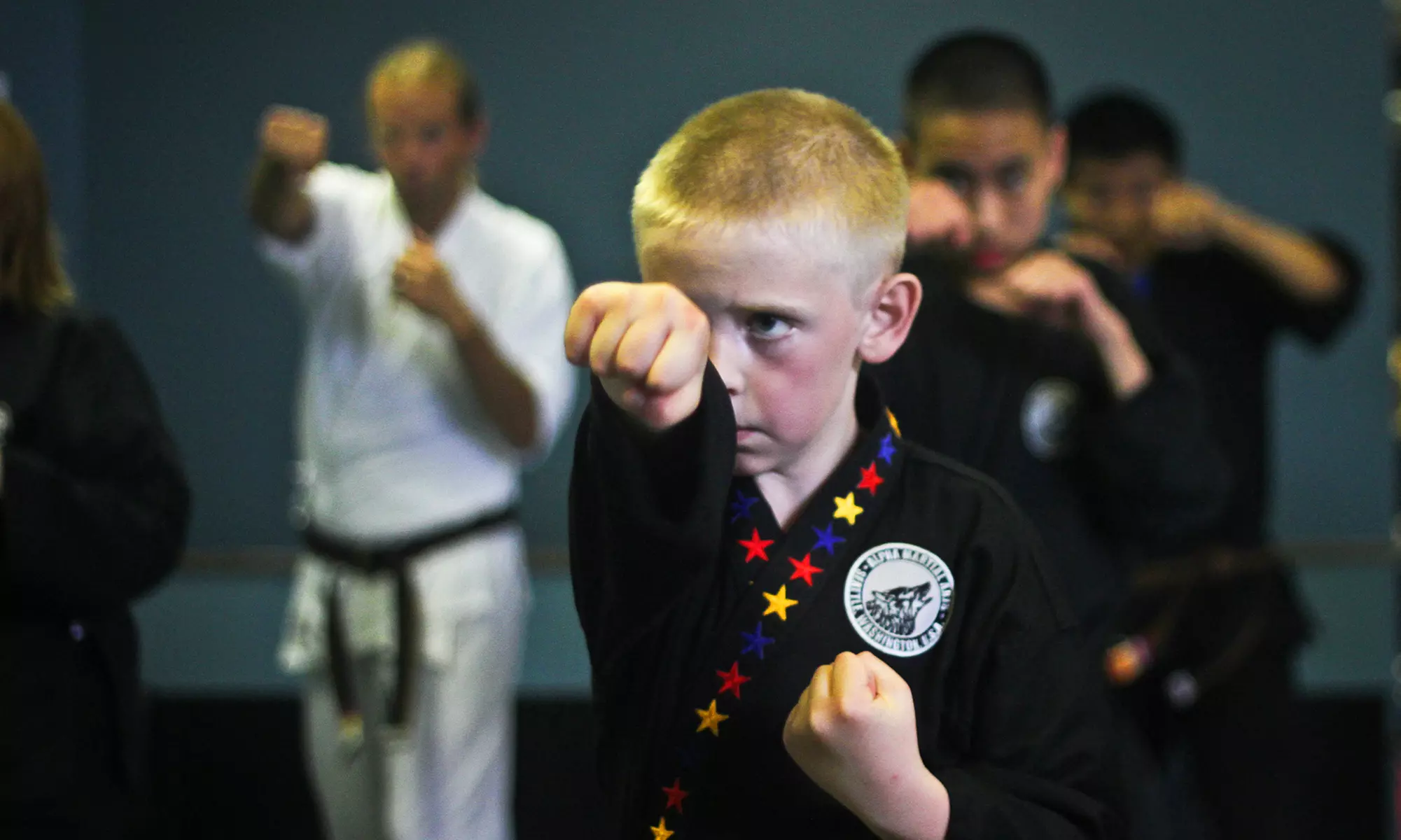 $47 for Two Weeks of Online Karate Classes for One at Alpha Martial Arts ($96.50 Value) - Primary Image