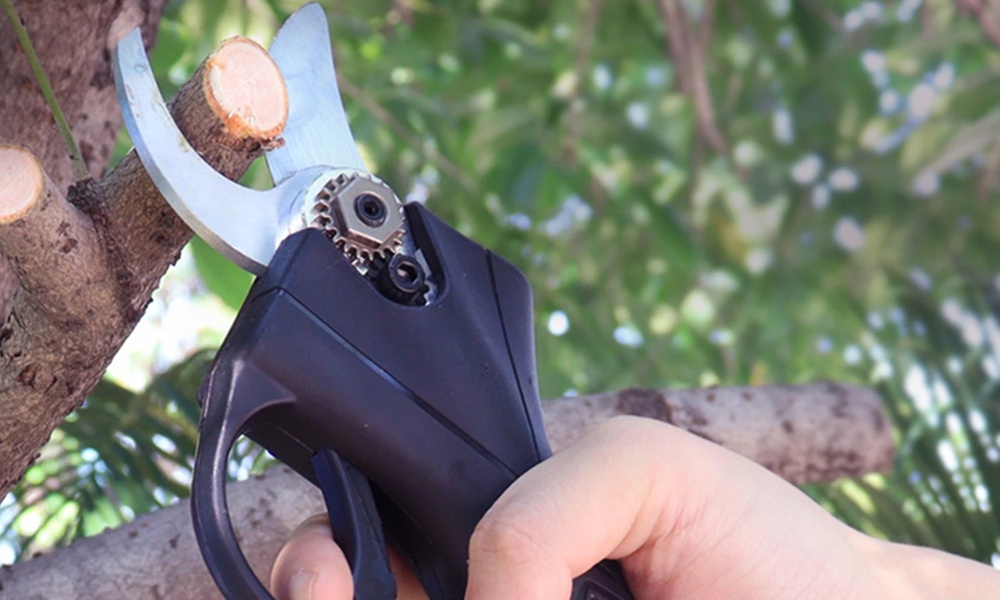 Forbici da potatura elettriche da 48V