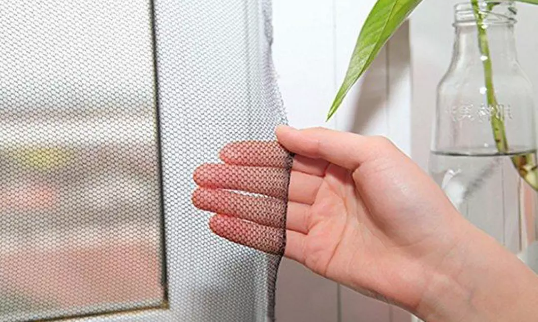 Moustiquaire pour fenêtre en polyester, deux tailles au choix - Primary Image