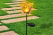 Lampe solaire GloBrite pour extérieur modèle fleur - Image 2