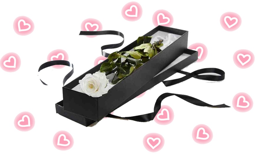 Image 4: Special Valentine Gift! 50% Off single Rose Box!