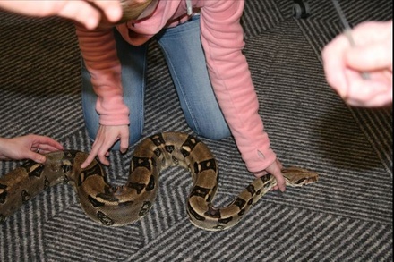 Big Lizard Experience - For 1 - Crocs R Us