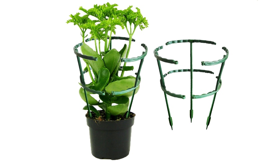 Image 3: Set of Three Plastic Plant Stands