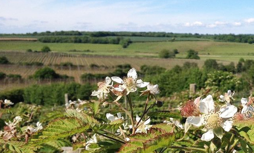 Image 4: Pick-Your-Own Fruit