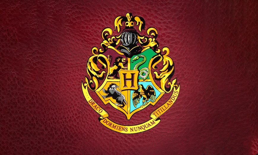 Image 6: Hogwarts Express Messenger Bag