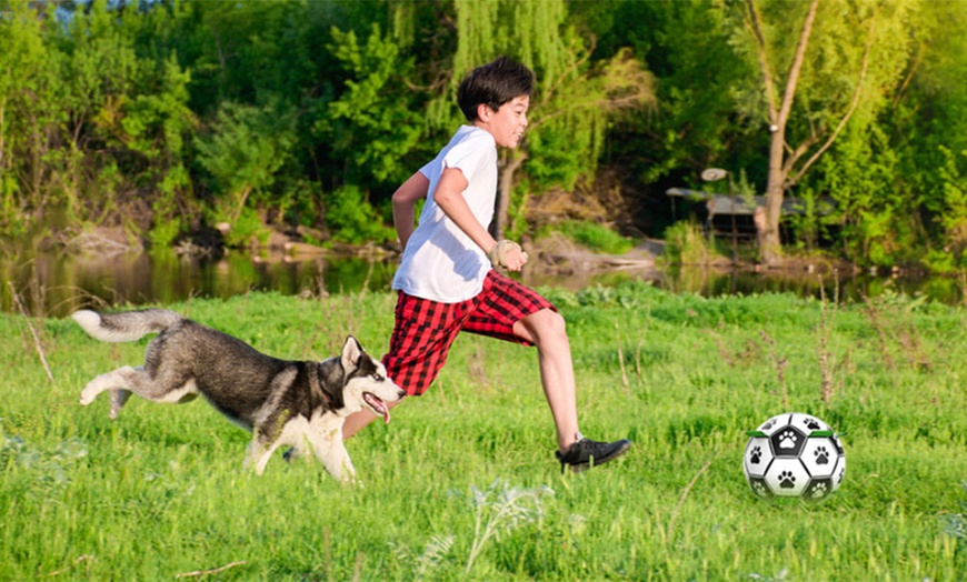 Image 5: Dog Toy Soccer Ball