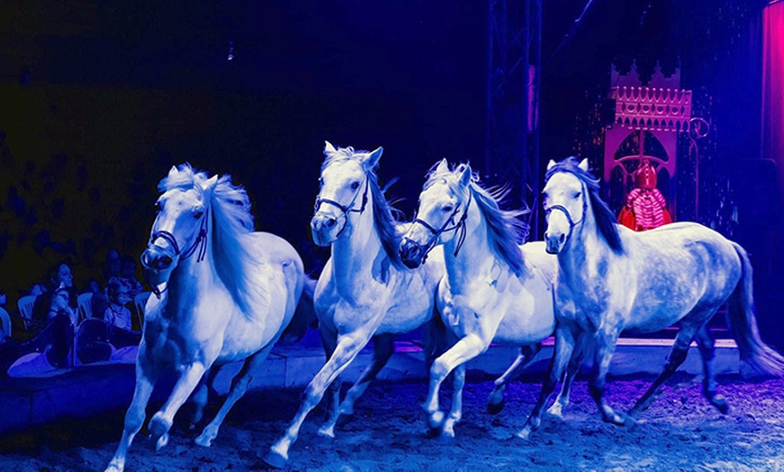 Image 2: Dé kerstshow voor jong & oud: ticket voor Paardencircus Tetam in Aalst