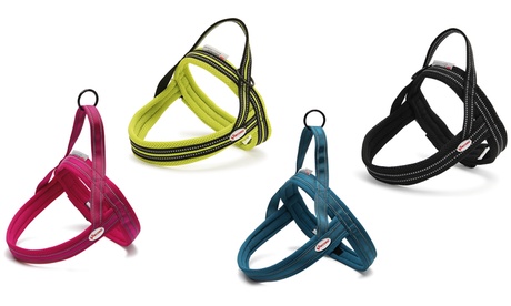 Pettorina Dolomiti Record disponibile in 4 colori e 3 dimensioni