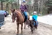 Private Riding Lesson for One or Riding Lesson for Two or Four at Savage Riding Academy (Up to 29% Off) - Second Medium