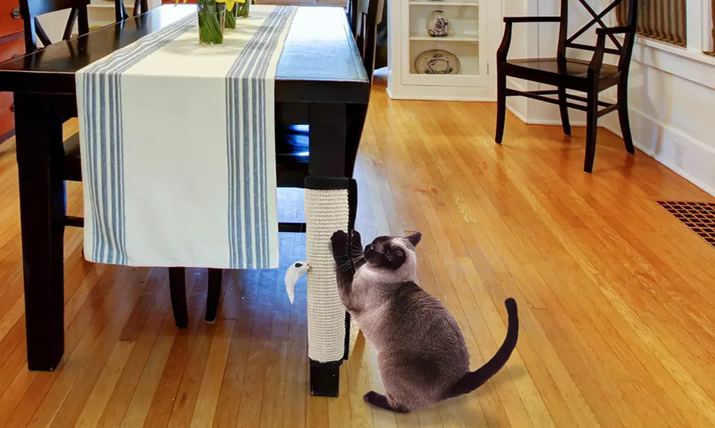 2-in-1 Cat Scratcher Wrap-Around and Floor Scratcher with Toy - Primary Image