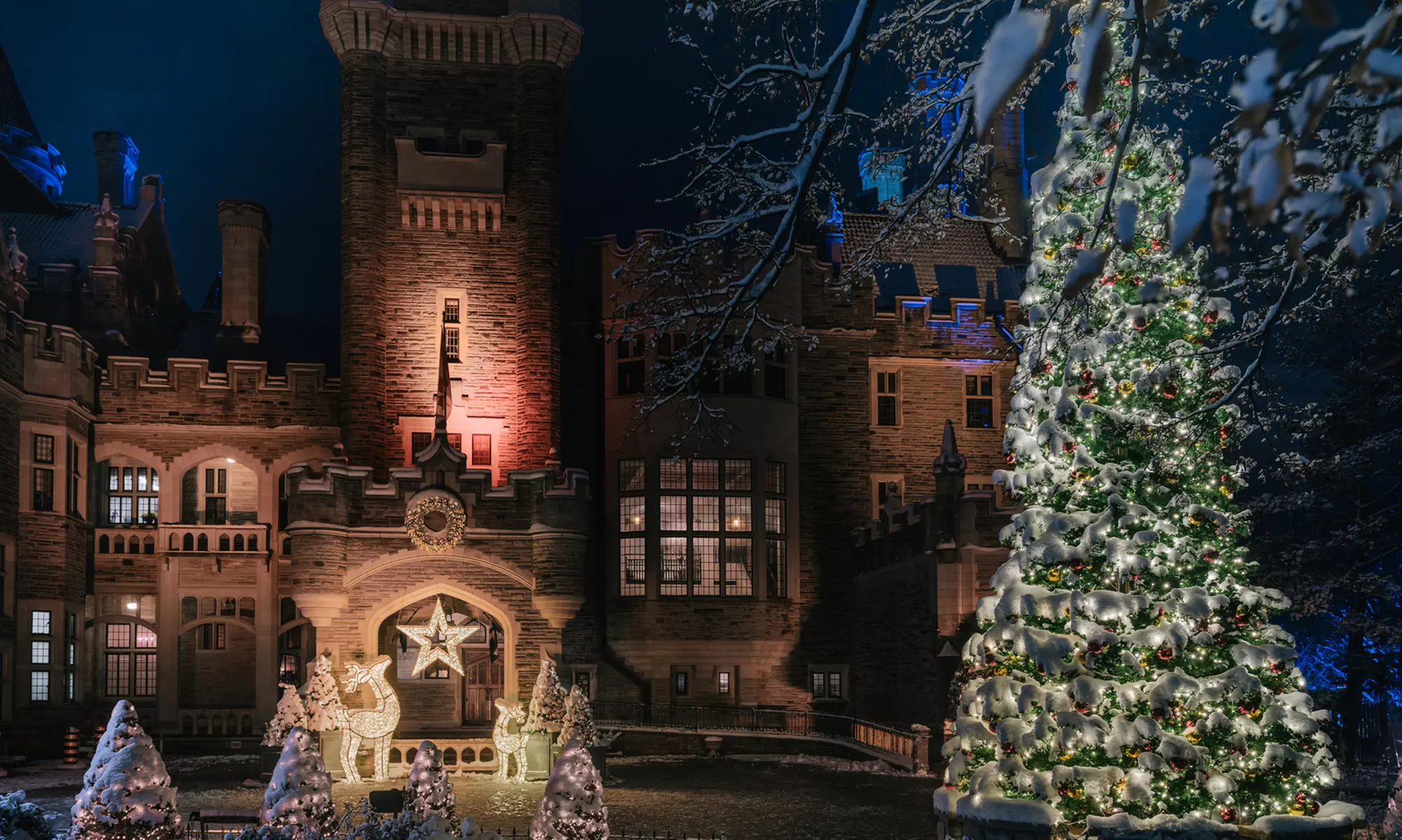 Casa Loma Presents Holiday Lights at the Castle (December 5 through 8)  - Primary Image