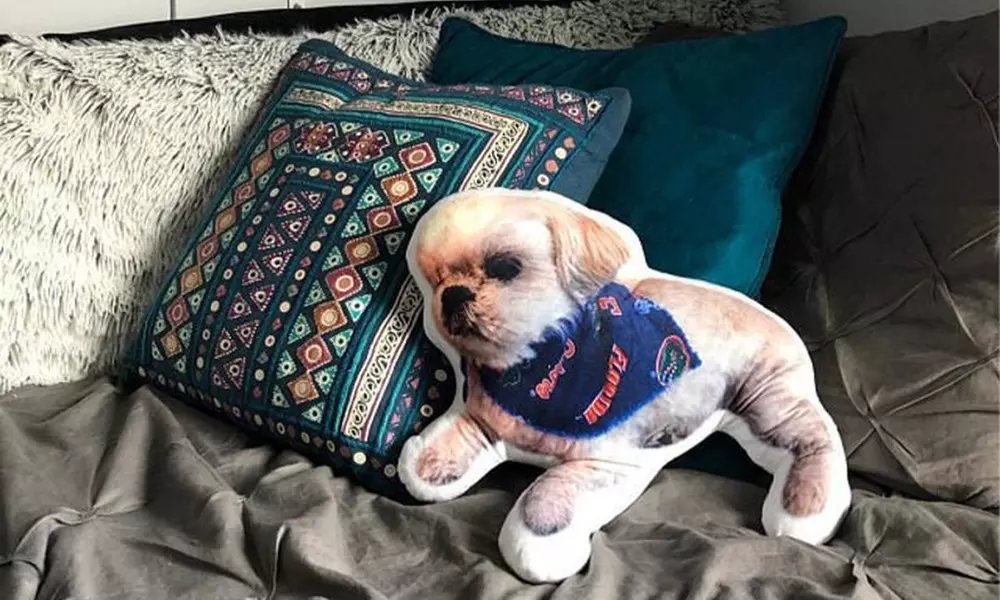 3-D-Fotokissen mit Haustiermotiv