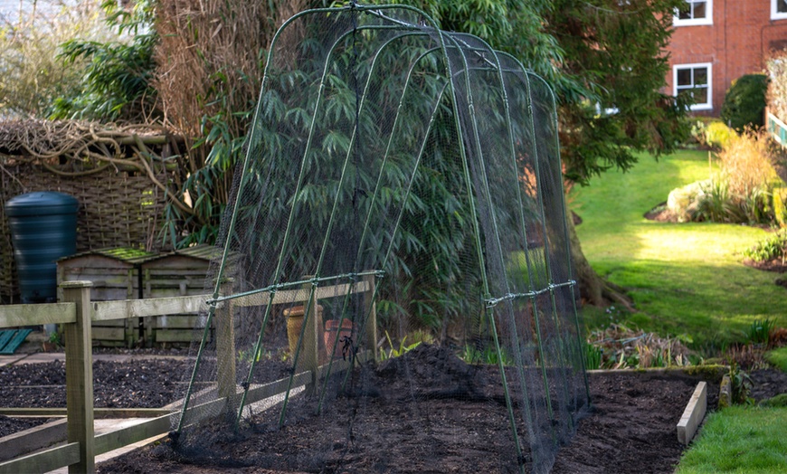 Image 2: Garden Gear Walk-In Crop Cage