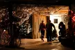 General Admission for One Child, Senior, or Adult to Chattanooga Zoo (Up to 37% Off) - Second Medium