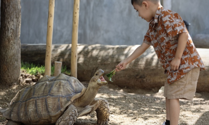 Discover Marine Wonders at Austin Aquarium