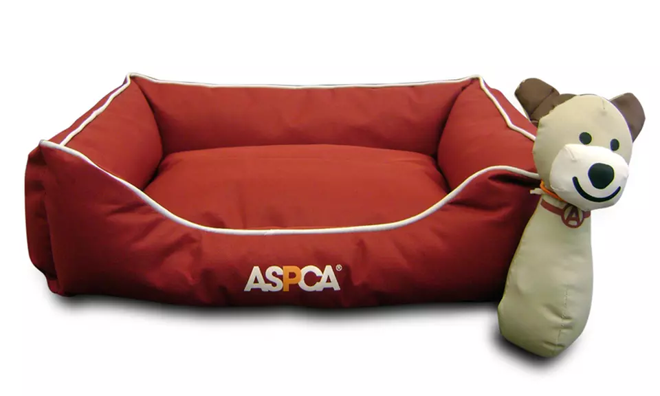 ASPCA Water- and Chew-Resistant Pet Bed (2-Piece) - Primary Image