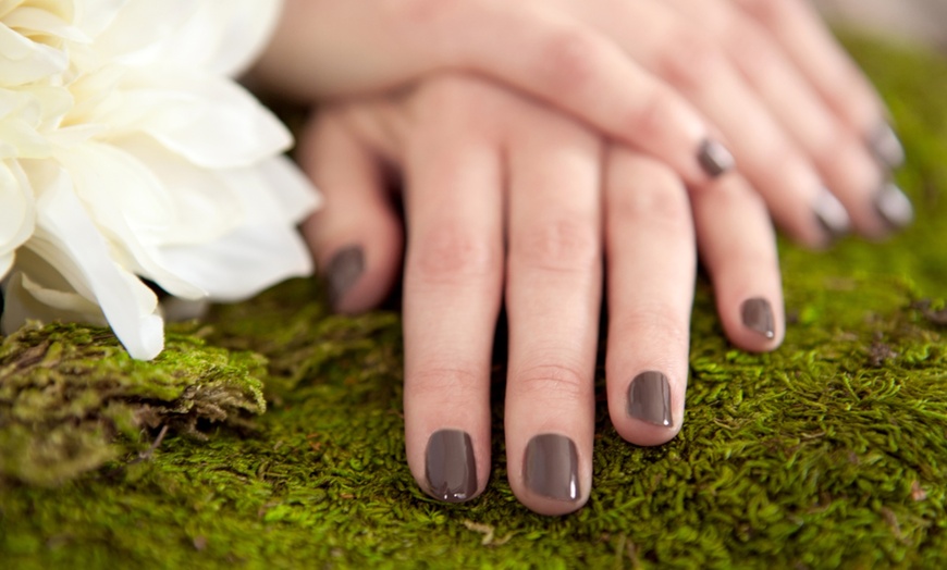 Image 1: Up to 40% Off on Mani-Pedi - Shellac / No-Chip / Gel at The Palace