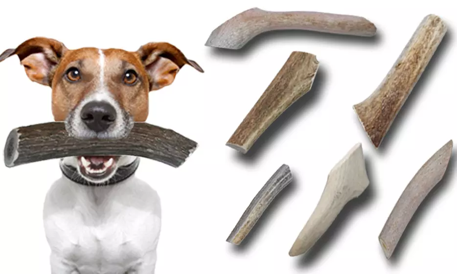 BuckeyBites Antler Chew Variety Pack with Assorted Sticks and Splits (1Lb. Package) - Primary Image