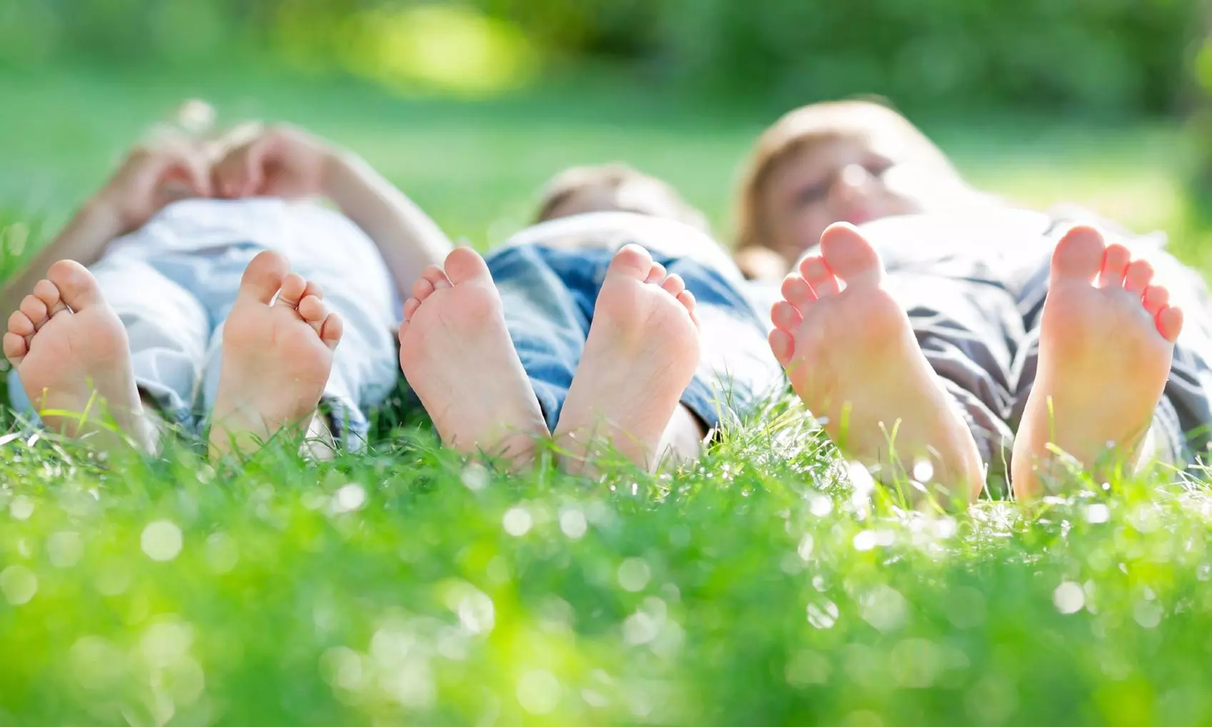 Mosquito Barrier Spray Treatment from Mosquito Guyz (Up to 61% Off). Two Options Available. - Primary Image