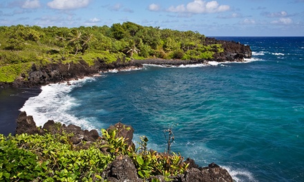 Roberts Hawaii in - Honolulu | Groupon