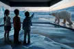 POLAR EXPERIENCE - Die Immersive Ausstellung über die Antarktis & die Arktis im Dezember & Januar (30% sparen) - Second Medium