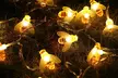 1 ou 2 guirlandes solaires LED abeilles GloBrite, livraison offerte - Second Medium