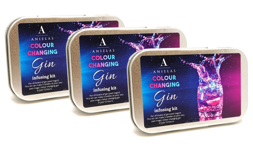 Image 3: Colour-Changing Gin Infusing Kit