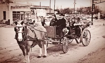 30- or 60-Minute Carriage Ride for Up to Six from Brazos Carriage Company (Up to 61% Off) - Primary Image