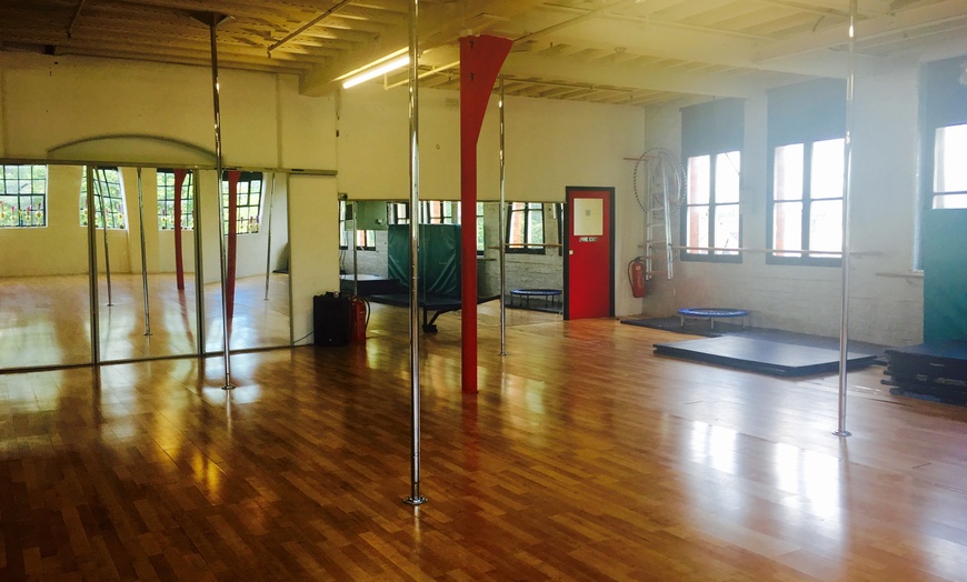 Image 1: Pole Dance Class for One