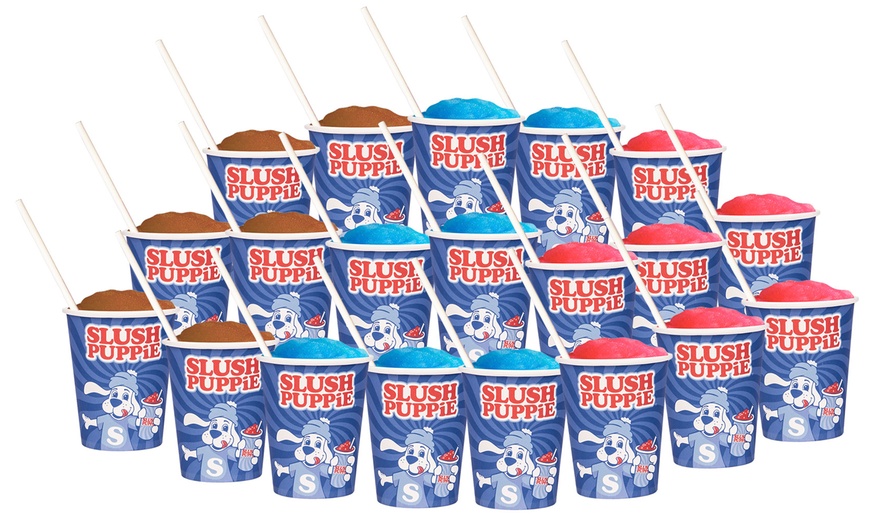 Image 2: Slush Puppie Syrup and Cup Bundle