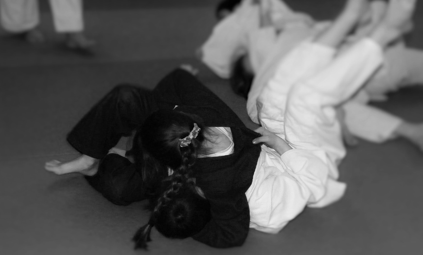 Image 5: Judo Classes, Kidbrooke