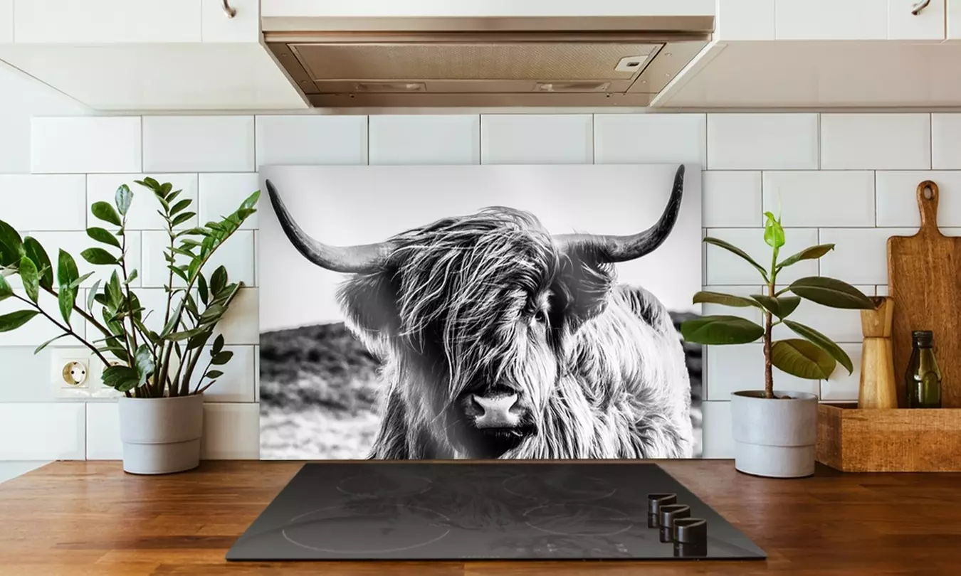 Aluminium spatscherm voor in de keuken