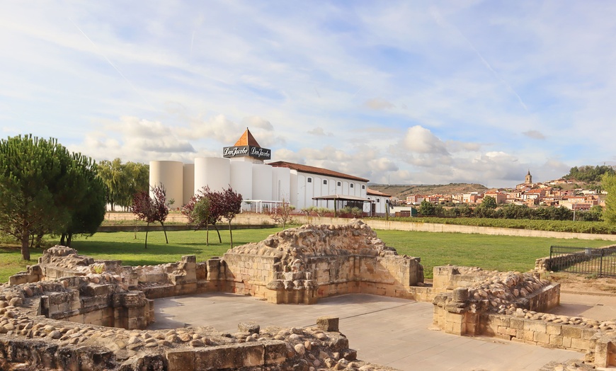 Image 5: Descubre el viñedo: visita a la bodega y cata de vinos para 2, 4 o 6