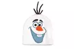 Disney's Frozen 2 Unisex Beanies - Second Medium