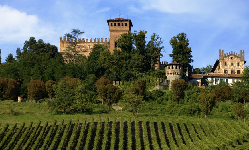 Image 1: Degustazione vini guidata a Castello di Gabiano