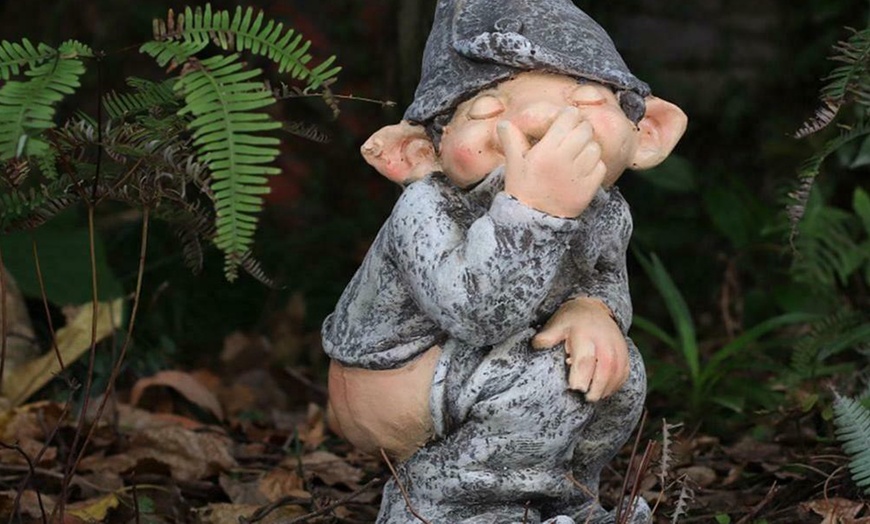 Image 19: Funny Gnome