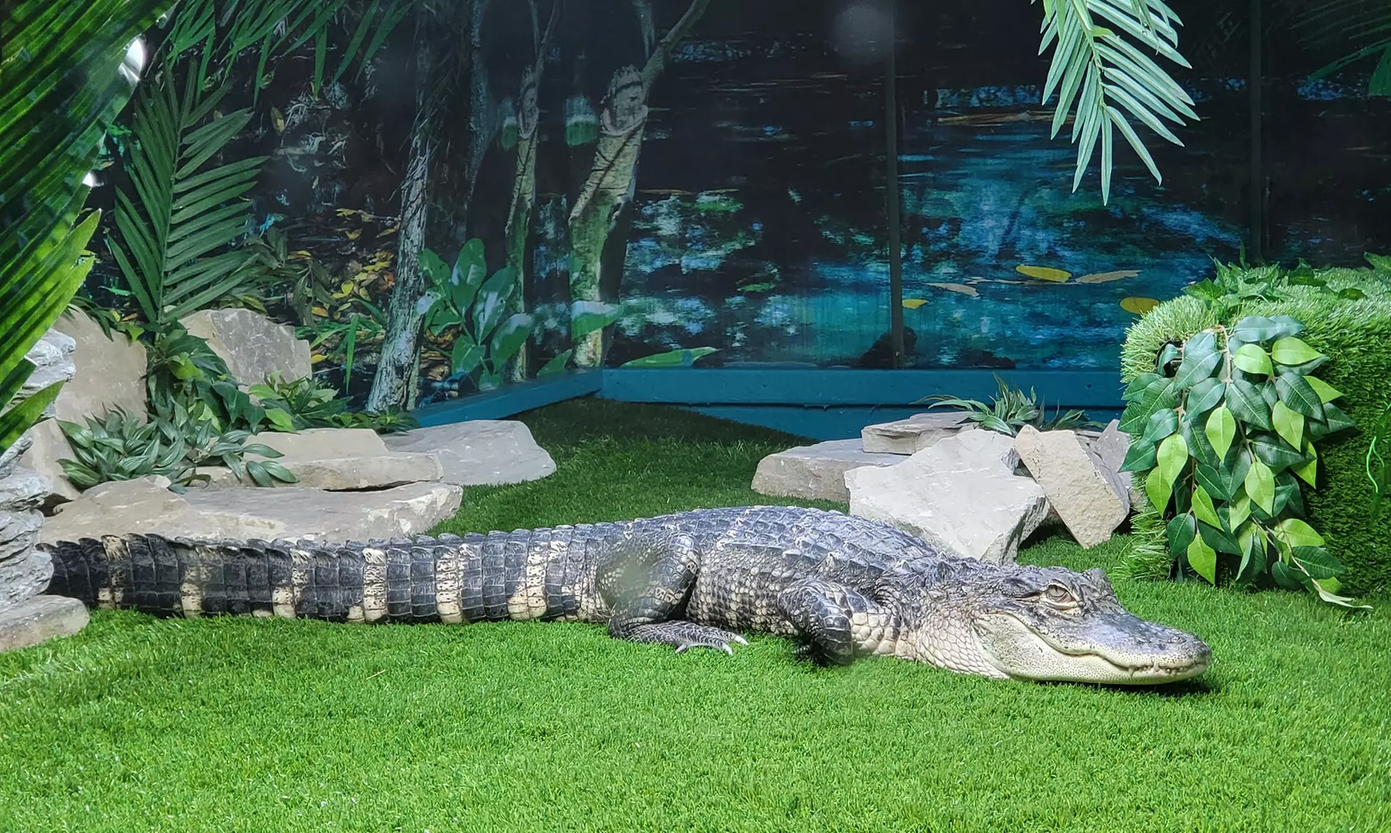 Up to 14% Off on Zoo / Animal Park at Get To Know Animals