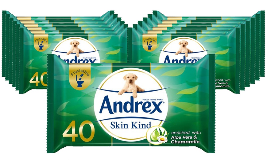 Image 1: Andrex Skin Kind Aloe Washlets