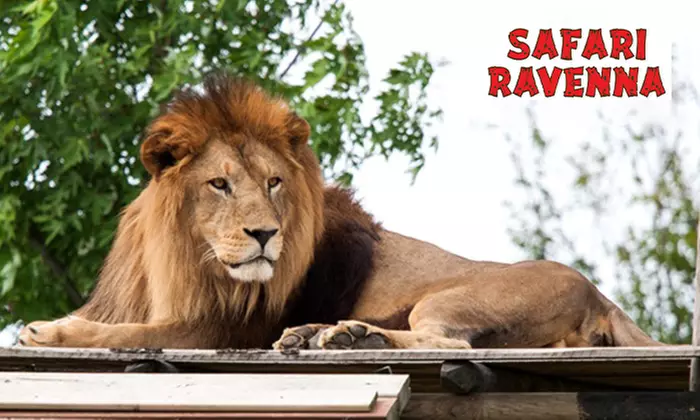 Ingresso intero o ridotto al Safari Ravenna (sconto fino a 14%) - Primary Image