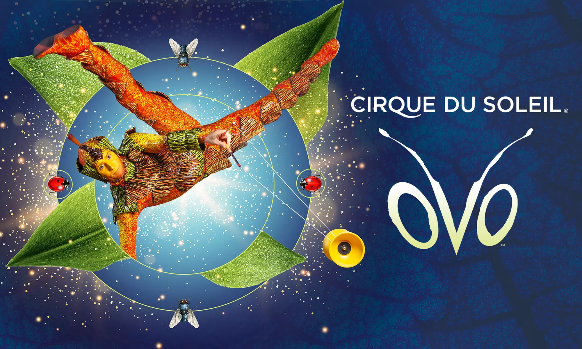 Cirque du Soleil Presents OVO (July 29–31) - Primary Image