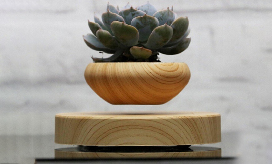 Image 4: Magnetic Floating Plant Pot