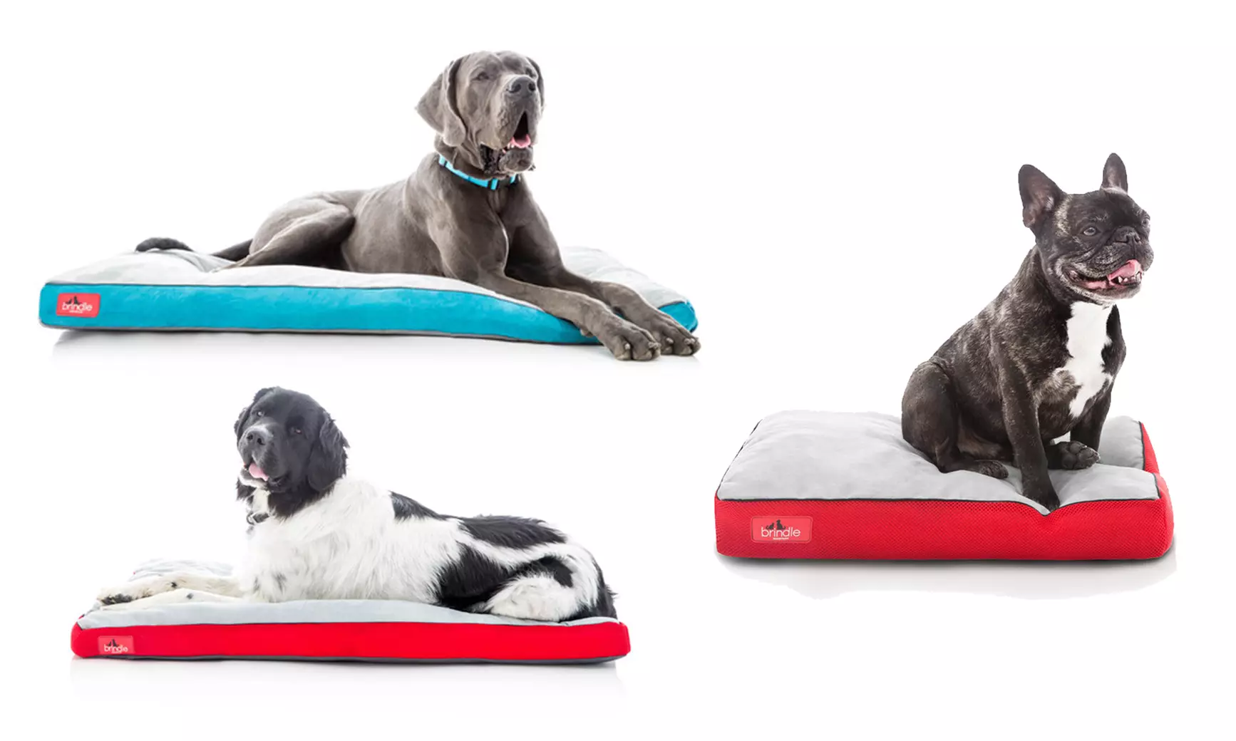 Brindle Waterproof Memory Foam Pet Bed - Primary Image